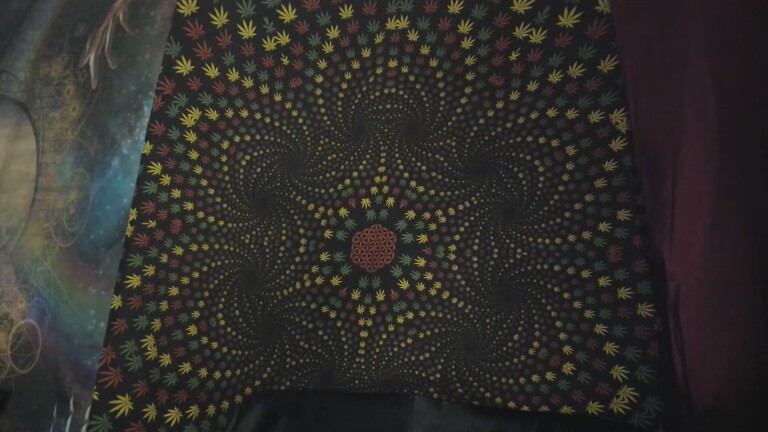 Ladyluvxo's Streamate show and profile