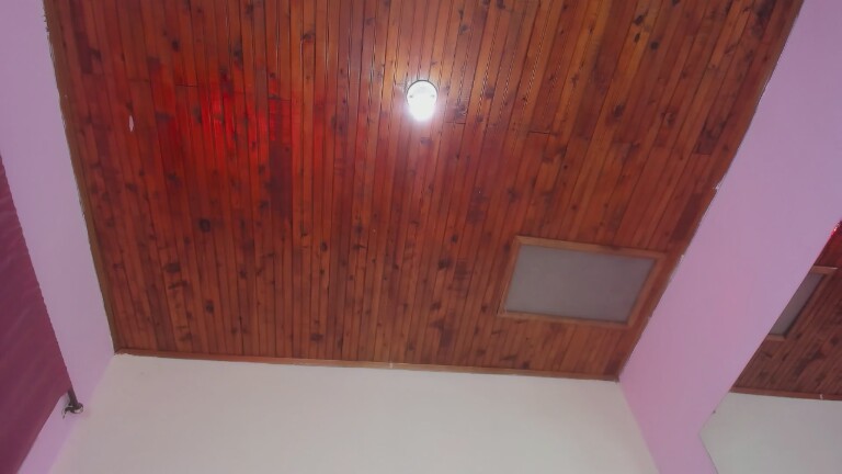 MeganDangelo's Streamate show and profile