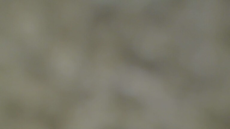 Adrianna_4u's Streamate show and profile